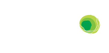 Leader Institute logo